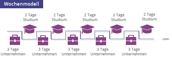 Infografik zum Wochenmodell