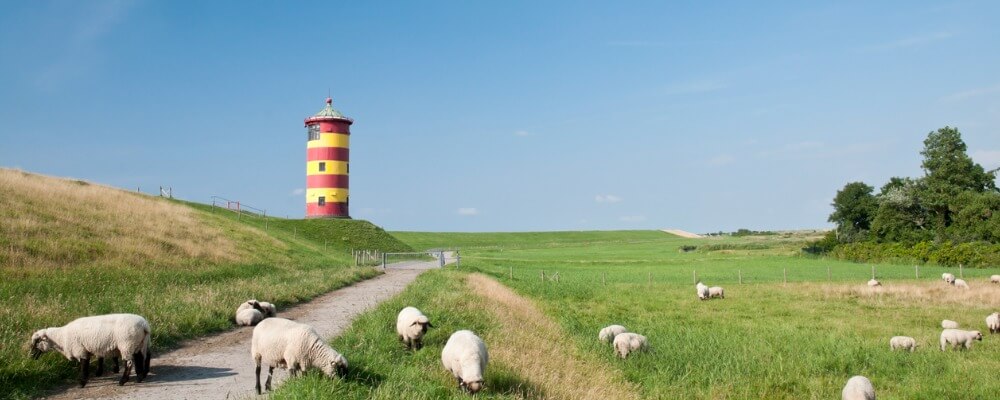 Internationales Eventmanagement in Niedersachsen